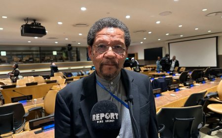 Beynəlxalq məsləhətçi: Müstəmləkəçiliklə mübarizədə Bakı Təşəbbüs Qrupunun fəaliyyətini alqışlayıram