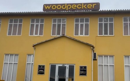 Cəlilabadda məşhur mebel fabrikinin fəaliyyəti dayandırılıb -Video