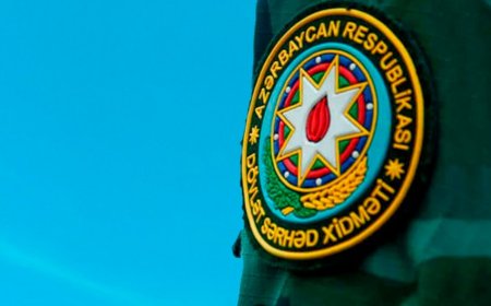 Azərbaycanın dövlət sərhədini pozmağa cəhd göstərən 7 nəfərdən biri zərərsizləşdirilib, üçü saxlanılıb