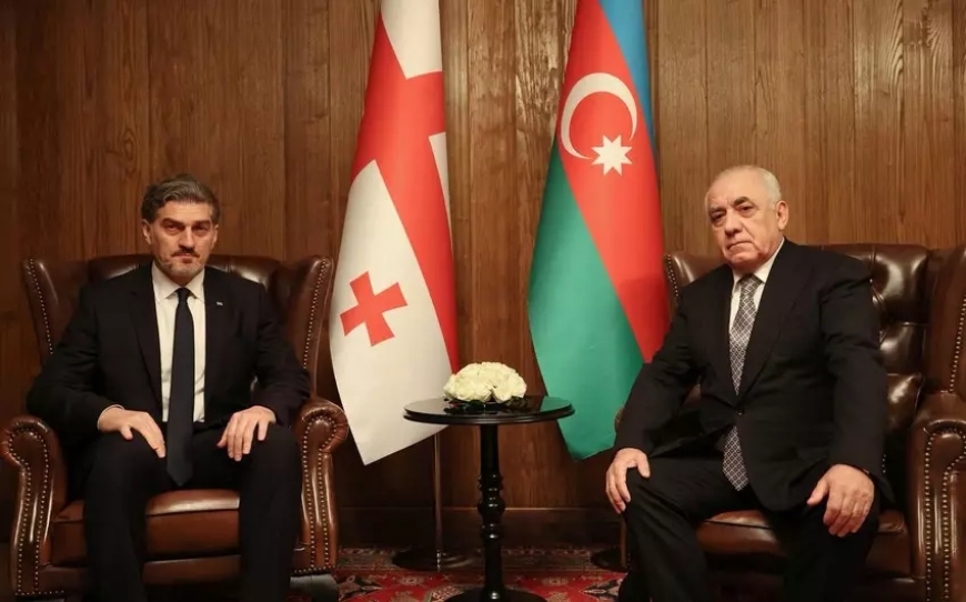 Gürcüstan Prezidenti Əli Əsədovla görüşüb