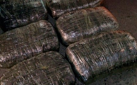 Cəlilabad sakinlərdən 18 kiloqram narkotik aşkarlandı