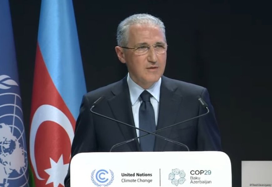 COP29 Sədri iqlim hədəflərinə çatmaq məqsədilə inkişaf etmiş ölkələri liderliyə çağırıb