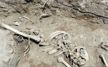 SON DƏQİQƏ! Ağdamda insan sümükləri AŞKARLANDI