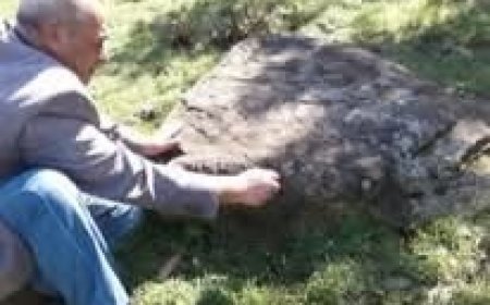 Gəmiqaya petroqlifləri: Azərbaycan tarixinin daş yaddaşı