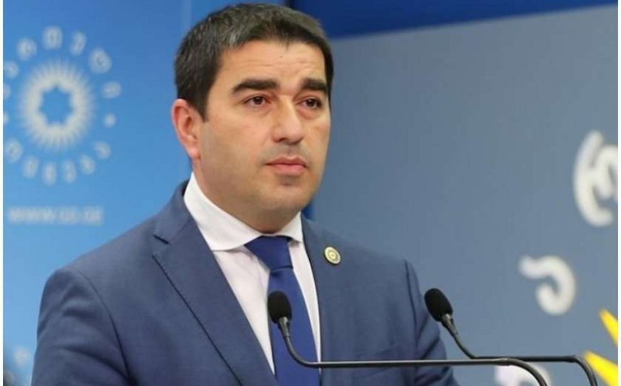 Parlament sədri: Gürcü xalqı ideoloji təhlükə ilə üz-üzədir