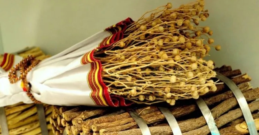 Nazirlikdən üzərlik bitkisi ilə bağlı XƏBƏRDARLIQ