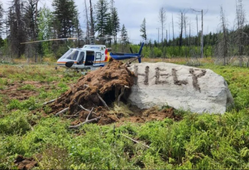 Kanadada meşədə itkin düşən şəxs 9 gün sonra tapıldı