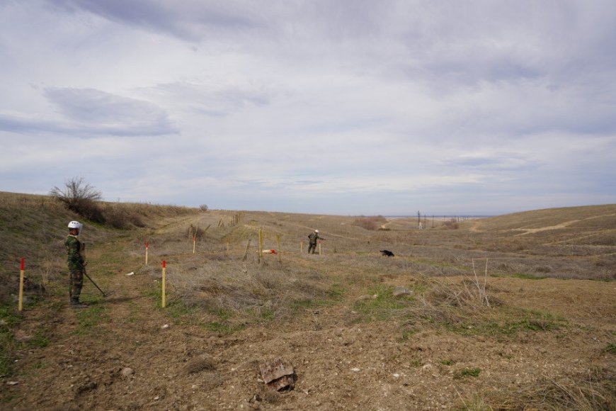 FHN Ağdamda minatəmizləmə əməliyyatlarını davam etdirir