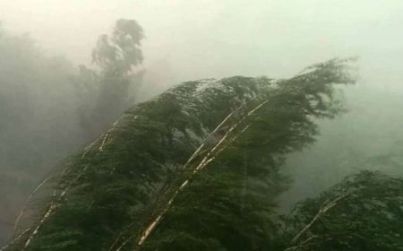 Azərbaycanda güclü külək əsəcək - XƏBƏRDARLIQ