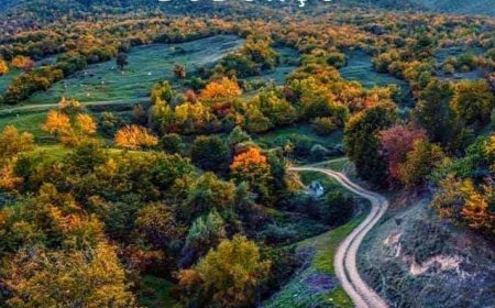 Xocavəndin Xanoba kəndinə ilk köç başlayıb