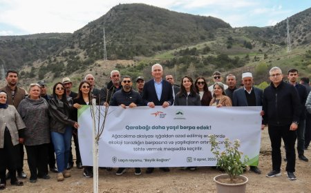 Laçında "Bəylik Bağları" yenidən bərpa olunur