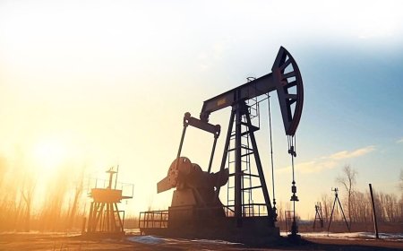 Neft kəskin ucuzlaşdı