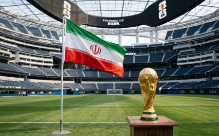 Fərid Qayıbov onlara yüksək vəzifə verdi