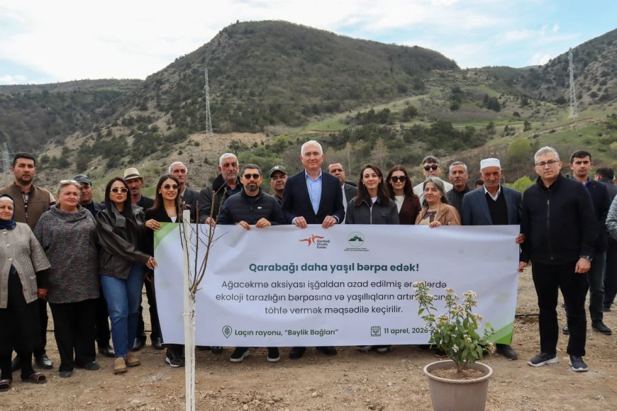 Laçında "Bəylik Bağları" yenidən bərpa olunur