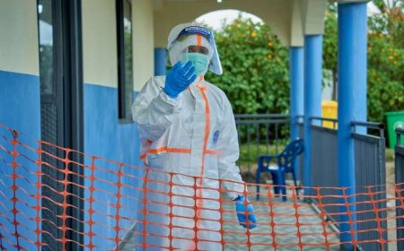 G7 Ebola ilə mübarizəyə 1 milyard avrodan çox vəsait ayırdı