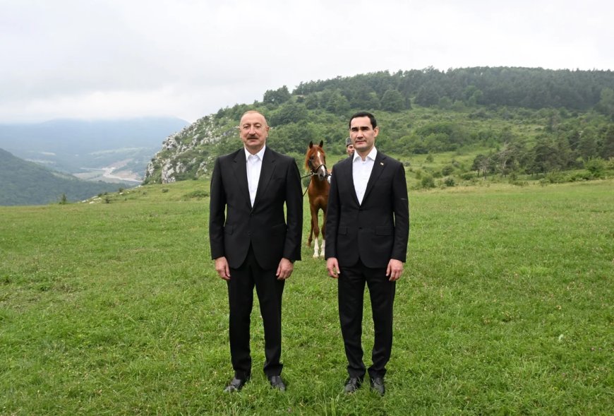 Prezident Türkmənistan Prezidentinə Qarabağ atı hədiyyə etdi