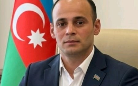 Elvin Polad  - Qəzəllər