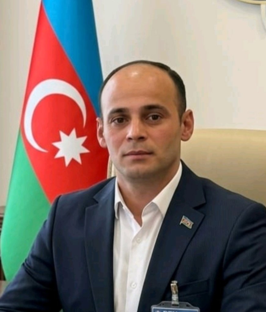 Elvin Polad  - Qəzəllər